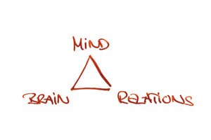Das Dreieck der Gesundheit aus Gehirn Geist Beziehungen